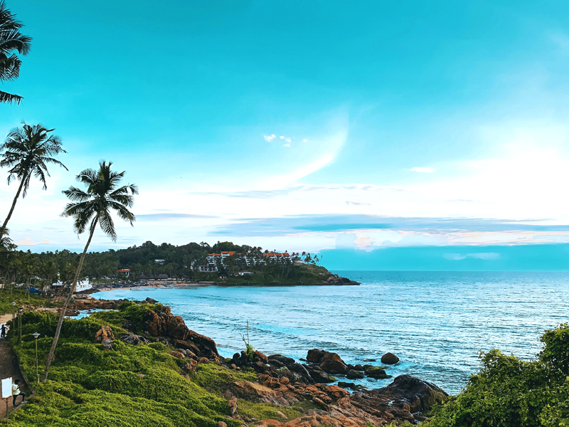 Kovalam Alleppey Tour Package - Munnar kerala
