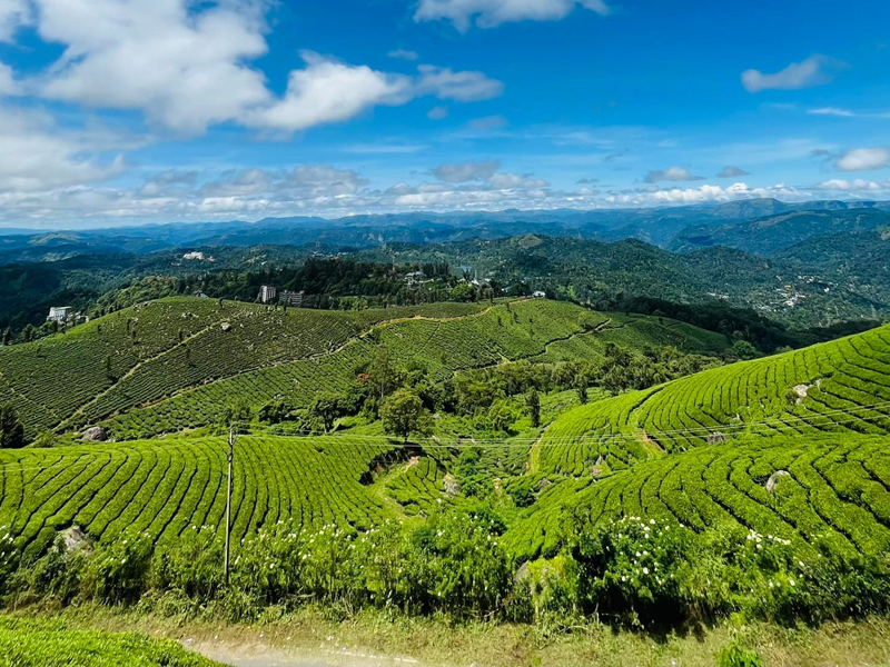  Top Travel Agents in Alappuzha